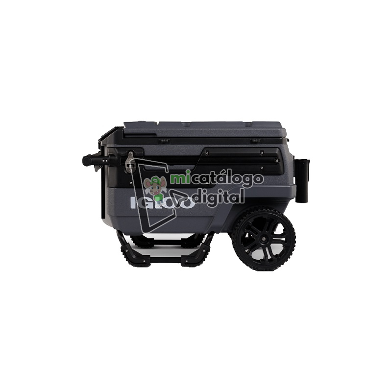 import placeholder for 7538