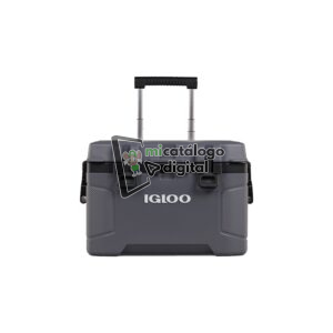 import placeholder for 7536