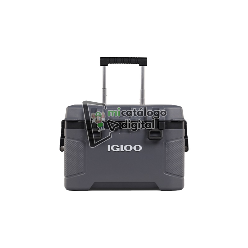 import placeholder for 7536