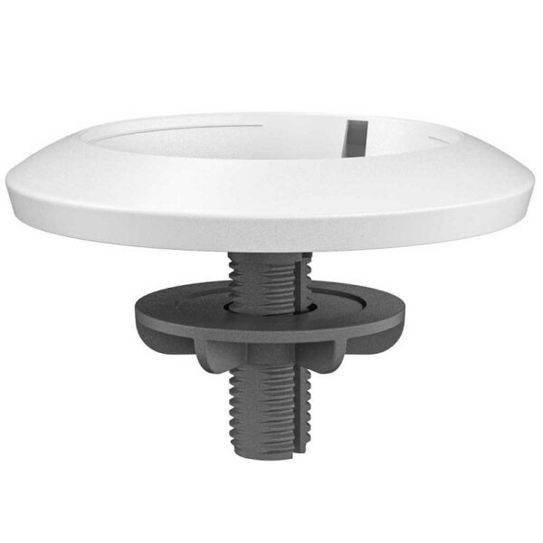 import placeholder for 31371