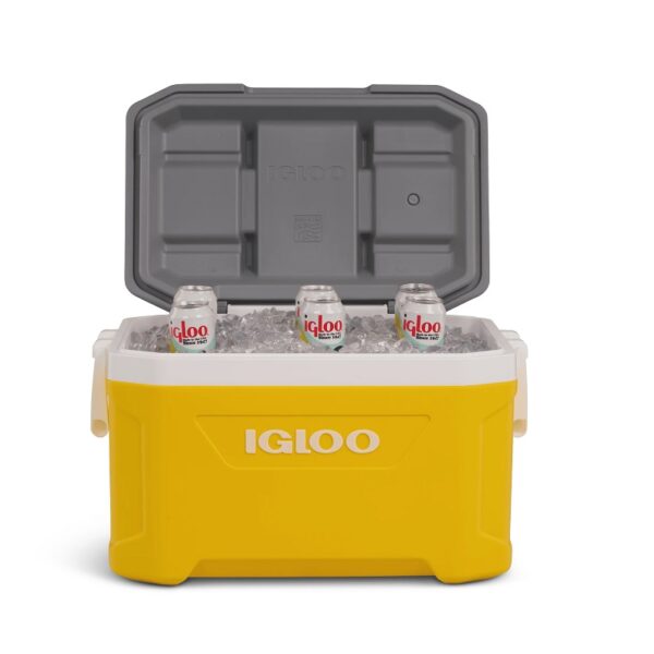 conservadora igloo 49l latd ylw 2p 57x37x38cm 49689
