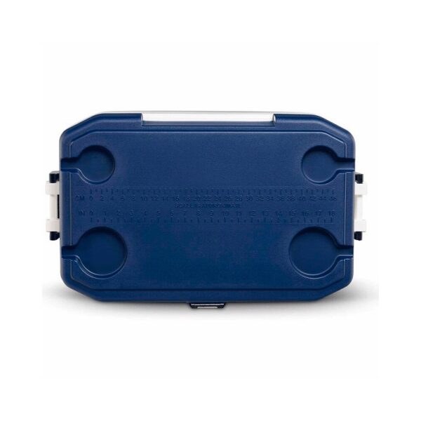 conservadora igloo 51l latd mc gry/a sea 2p 65x39x41cm 50543