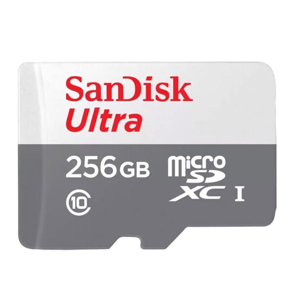 memoria sandisk micro sd ultra c10 256gb